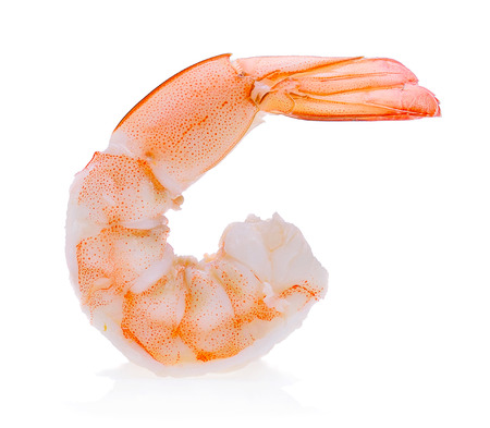 shrimps isolated on a white backgroundの写真素材