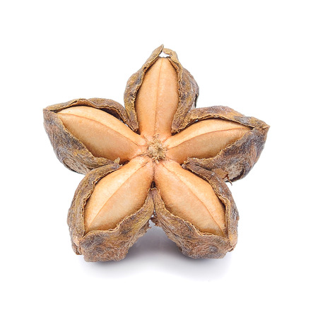 sacha inchi peanut seed on whiteの写真素材