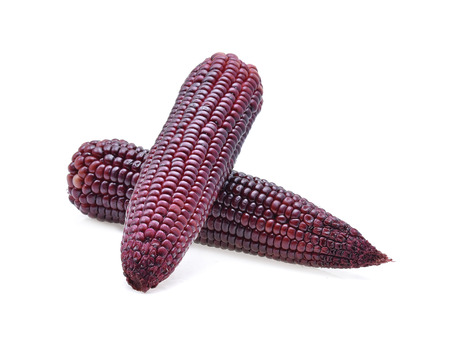 ripe purple corn isolate on white backgroundの写真素材
