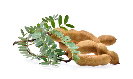 Tamarind isolated on white backgroundの写真素材