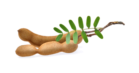 Tamarind on white backgroundの写真素材