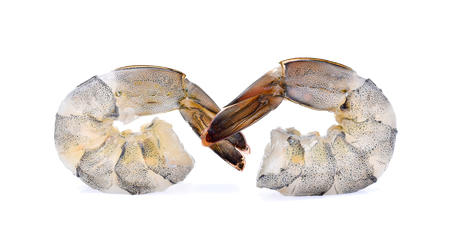 Raw prawns isolated on white backgroundの写真素材