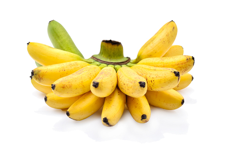 Golden banana (Pisang mas) isolated on white backgroundの写真素材
