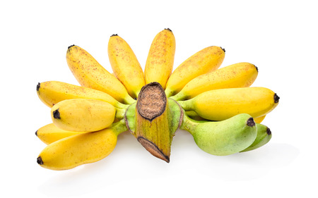 Golden banana (Pisang mas) on white backgroundの写真素材