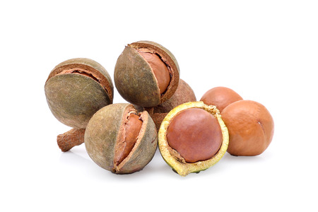 macadamia nuts on white backgroundの写真素材
