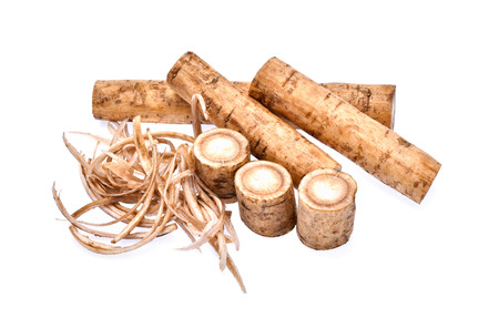 Burdock roots on white backgroundの写真素材