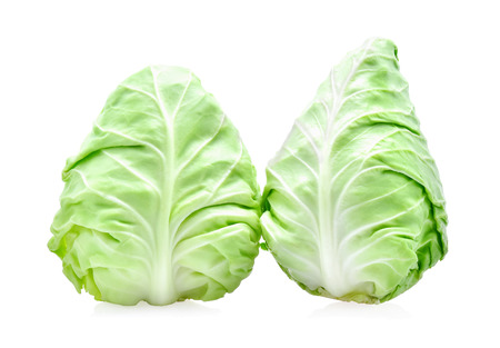 pointed cabbage on white backgroundの写真素材
