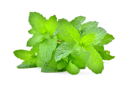 Mint leaves isolated on white background