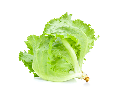 Green Iceberg lettuce on White Backgroundの写真素材