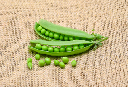  green peas on rustic fabric backgroundの写真素材