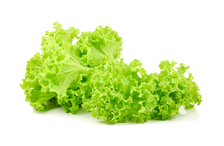 green oak lettuce isolated on white backgroundの写真素材