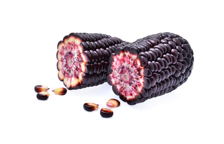 Ripe purple corn on white backgroundの写真素材
