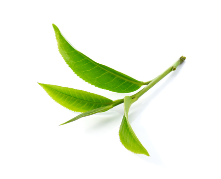 Green tea leaves isolated on white backgroundの写真素材