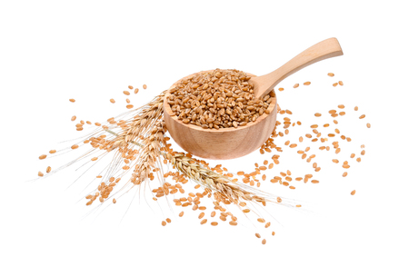 Wheat grain isolated on white backgroundの写真素材