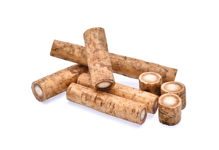 Burdock roots on white backgroundの写真素材