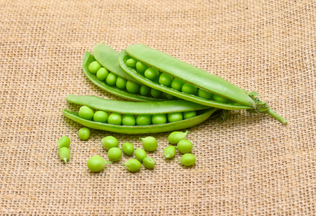  green peas on sack backgroundの写真素材