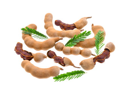 Tamarind isolated on white backgroundの写真素材