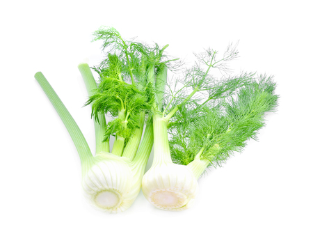 Fennel isolated on white backgroundの写真素材