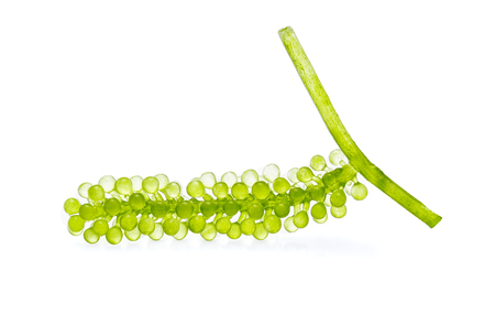 Umi-budou, grapes seaweed or green caviar on white backgroundの写真素材