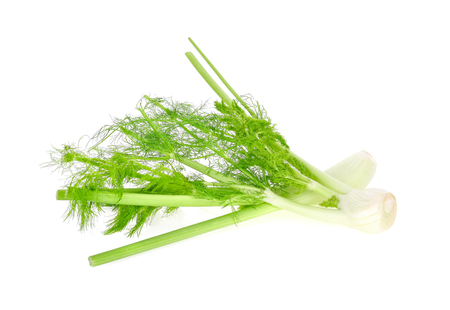 fennel isolated on white backgroundの写真素材