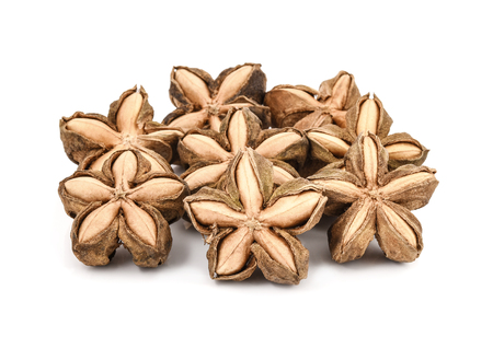 sacha inchi peanut seed on white backgroundの写真素材