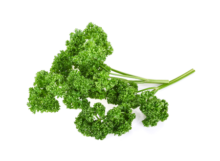 Fresh parsley on a white backgroundの写真素材