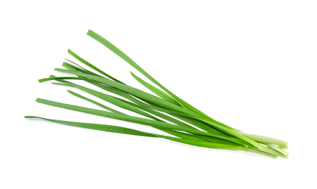 Garlic chives on white backgroundの写真素材