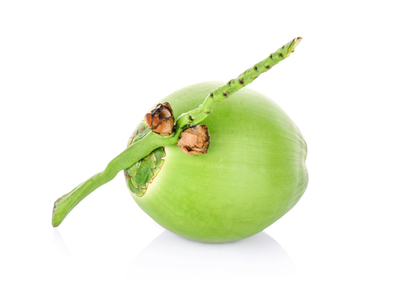 Green coconut isolated on white backgroundの写真素材