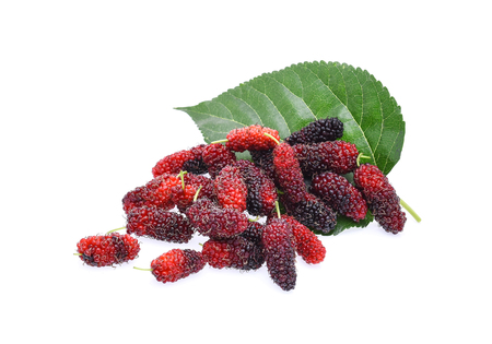 Mulberry isolated on white backgroundの写真素材