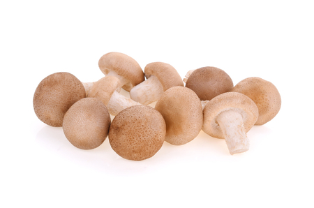 Shiitake mushrooms isolated on white backgroundの写真素材