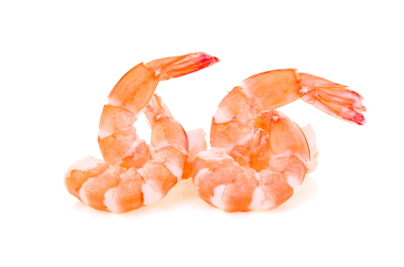 shrimps on white backgroundの写真素材