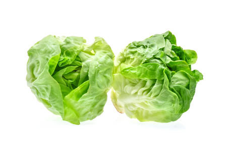 Butterhead lettuce isolated on white backgroundの写真素材