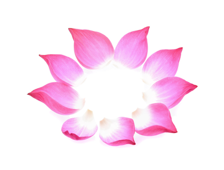 Lotus petal isolate on white backgroundの写真素材