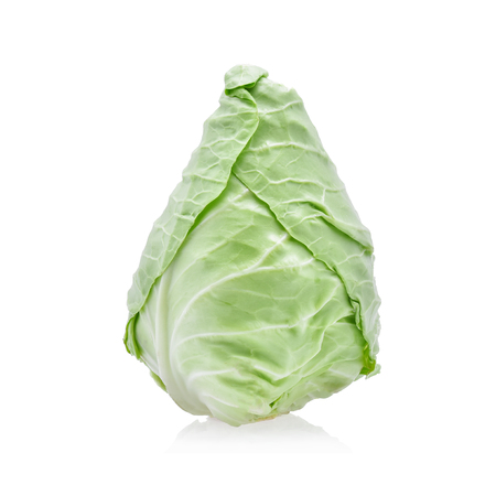 pointed cabbage on white backgroundの写真素材