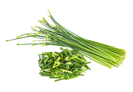 Chives flower isolated on white backgroundの写真素材