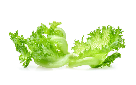 green frillies iceberg lettuce isolated on white backgroundの写真素材