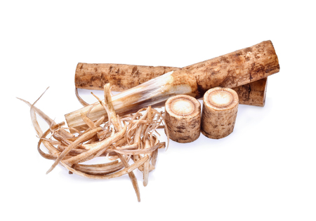 Burdock roots on white backgroundの写真素材