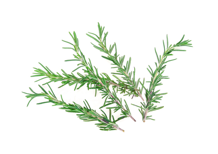 rosemary isolated on white backgroundの写真素材
