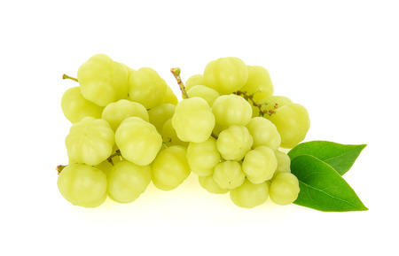 star gooseberry on white backgroundの写真素材
