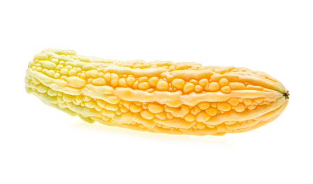 Yellow Bitter melon , Bitter gourd on white backgroundの写真素材