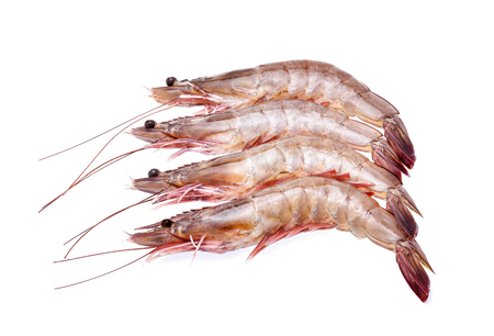 Raw shrimps isolated on white backgroundの写真素材