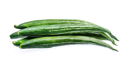 Snake gourd isolated on white backgroundの写真素材