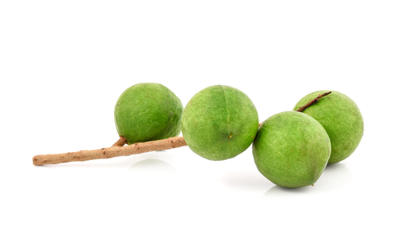 Macadamia nut isolated on white backgroundの写真素材