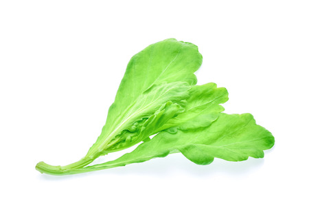edible chrysanthemum leaf isolated on white backgroundの写真素材