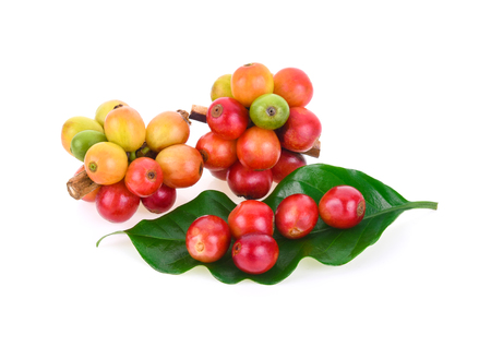 fresh coffee beans isolated on white backgroundの写真素材