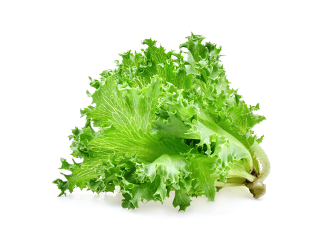 green frillies iceberg lettuce isolated on white backgroundの写真素材