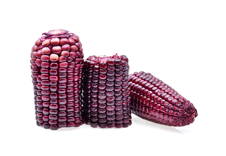 ripe purple corn isolate on white backgroundの写真素材