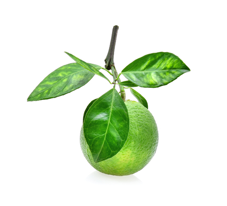 sweet orange(Citrus medica Linn) isolated on white backgroundの写真素材