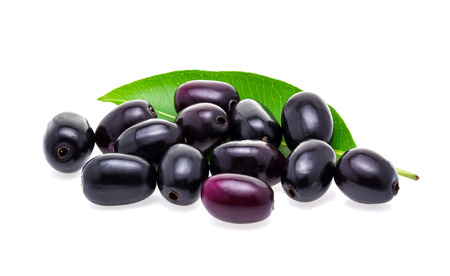 Jambolan plum or Java plum isolated on white backgroundの写真素材