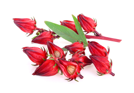 Hibiscus sabdariffa or roselle fruits isolated on white backgroundの写真素材